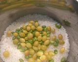 ほろ苦いのがたまらない ギンナンご飯 作り方4写真