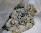簡単♪牡蠣のアヒージョ(オイル煮)作り方1写真