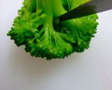 ブロッコリーと春キャベツのポタージュ作り方21写真