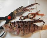 ミノカサゴの煮つけ✿作り方1写真