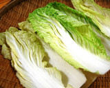 白菜とワカメのちゃちゃっと漬作り方1写真