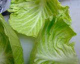 春キャベツの麻婆作り方7写真