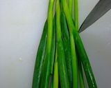 春キャベツの麻婆作り方29写真