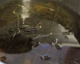 昆布と枝豆の浅漬け作り方1写真