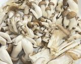 キノコと鶏肉の炊き込みご飯作り方4写真