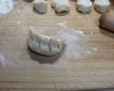 フードプロセッサーＤＥ手作り餃子作り方10写真