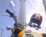 富山名物　ますの寿司、鱒寿司作り方4写真