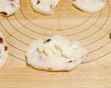 【発酵種】ヨーグルト種クランベリーパン作り方19写真