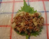ネバネバ納豆の包み揚げ春巻き作り方3写真