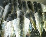 釣り師の鯵三々〆作り方3写真