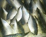 釣り師の鯵三々〆作り方4写真