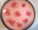 桜のムースケーキ♪作り方13写真