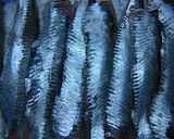鰯ぬた☆作り方6写真