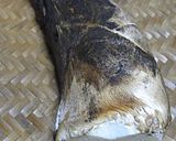 たけのこ（生）の冷凍保存方法～♪作り方1写真