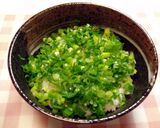 ガッツリ混ぜて★ネギいっぱいのそぼろ丼作り方5写真