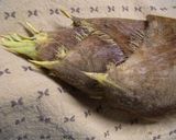 旬タケノコ*宴会*お酒のおつまみに*筍作り方1写真