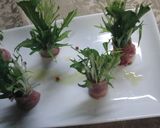 ♡水菜と生ハムの巻き巻きオードブル♡　作り方3写真