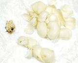 うちの味☆ゆりね堪能♪まずはこの食べ方で作り方4写真