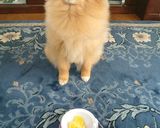簡単★さくさくチョコチップクッキー★作り方9写真