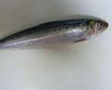 刺身用いわしの開き方☆昆布〆作り方1写真