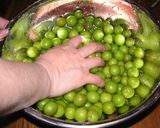 塩だけで☆カリカリ梅☆作り方2写真