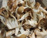 たっぷりきのこのトマト煮込み作り方1写真