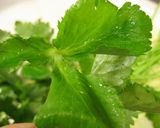 どんぐり料理 ウナギと三つ葉の千草焼き作り方3写真