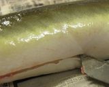 旧江戸川の天然ウナギのかば焼き作り方2写真