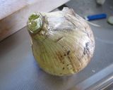 新玉ねぎのしょうゆ漬け作り方1写真