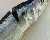 簡単！早い！きれい！秋刀魚の内臓のとり方作り方2写真