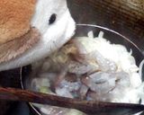 ラスカル君の海老マカロニグラタン作り方5写真