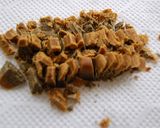 ほうれん草の簡単カレー作り方6写真