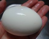 新たまねぎと卵のサンドイッチ∮作り方3写真