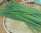 菜園採れのネギキムチ作り方1写真