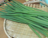 菜園採れのネギキムチ作り方1写真