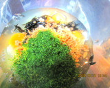 鮭フレークとひじきと青海苔の卵焼き作り方1写真