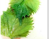 鶏ささみ ♪ 紫蘇チーズ ♪ 巻き作り方3写真