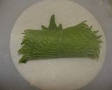 カリカリ変わりぎょうざ作り方4写真