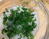 大葉の半年作り方4写真