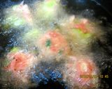アボカド天ぷら＆そら豆と紅生姜のかき揚げ作り方4写真