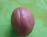 簡単♪きれい♪カリカリ梅・種の取り方作り方1写真