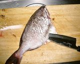 鯛の三枚おろし作り方4写真