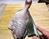 鯛の三枚おろし作り方14写真