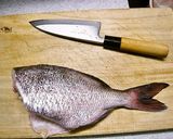 鯛の三枚おろし作り方9写真