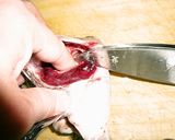 鯛の三枚おろし作り方5写真