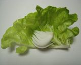 *春キャベツ&新タマネギの豚ロール*作り方3写真