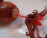 ヒイカとウズラ卵の甘辛煮作り方11写真
