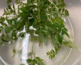 木の芽の天ぷら作り方1写真