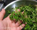 セリのおひたし☆セリの茹で方・冷凍保存法作り方1写真