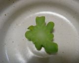処理要らず♪丸ごと食べようブロッコリー作り方11写真